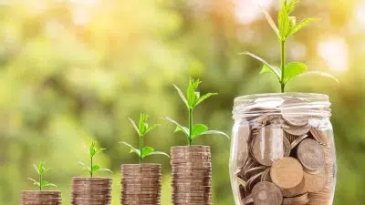 Choisir une banque écologique : c’est possible ?!